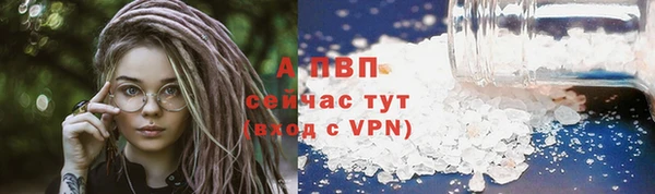 трава Сясьстрой