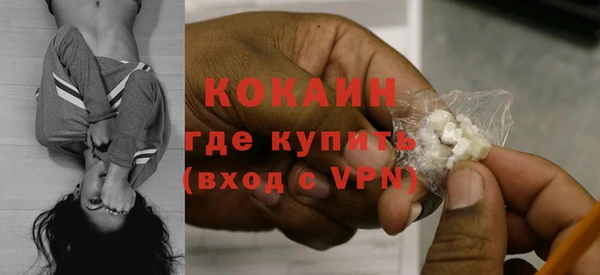 трава Сясьстрой