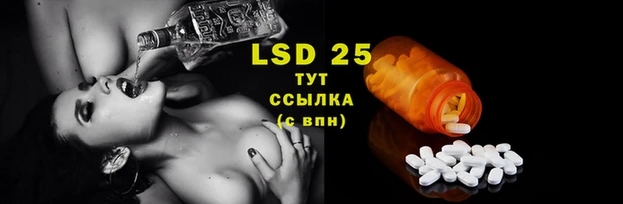 прущие грибы Тихорецк