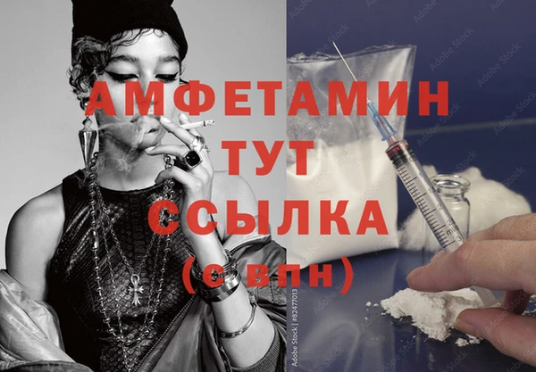 прущие грибы Тихорецк
