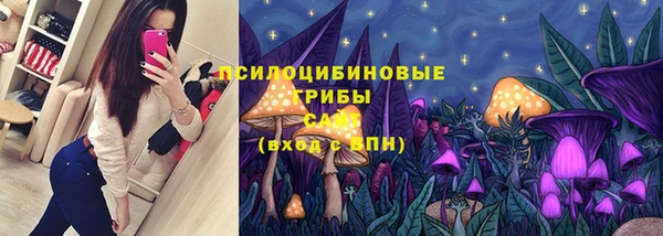 apvp Туринск