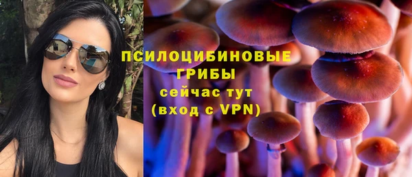 прущие грибы Тихорецк