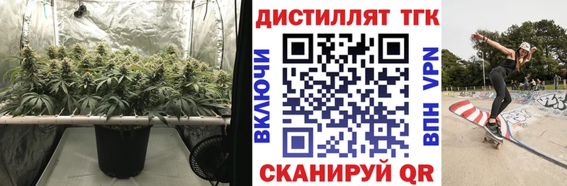 ТГК вейп с тгк Приморск