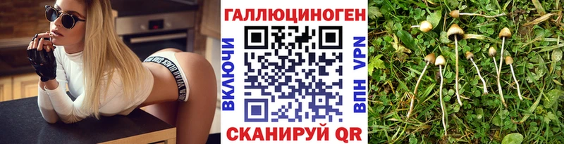 Галлюциногенные грибы прущие грибы  Купить  Приморск 